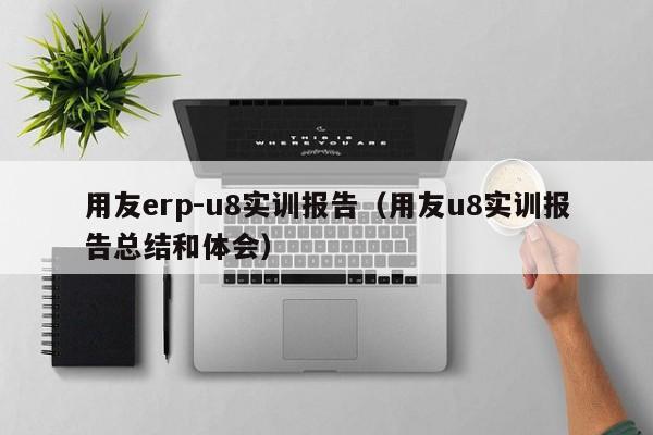 用友erp-u8实训报告（用友u8实训报告总结和体会）