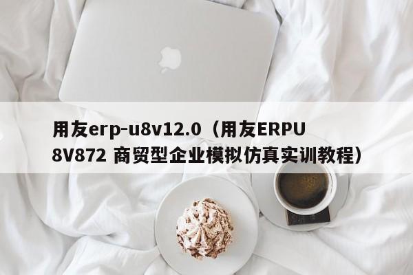 用友erp-u8v12.0（用友ERPU8V872 商贸型企业模拟仿真实训教程）