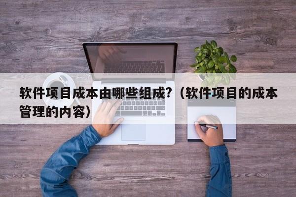 软件项目成本由哪些组成?（软件项目的成本管理的内容）