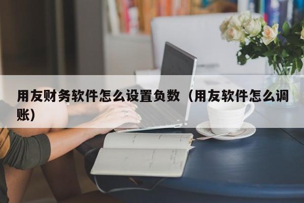 用友财务软件怎么设置负数（用友软件怎么调账）