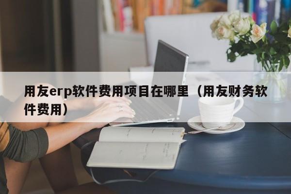 用友erp软件费用项目在哪里（用友财务软件费用）