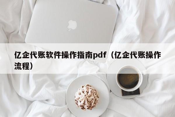 亿企代账软件操作指南pdf（亿企代账操作流程）