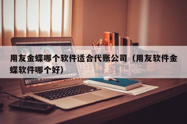 用友金蝶哪个软件适合代账公司（用友软件金蝶软件哪个好）