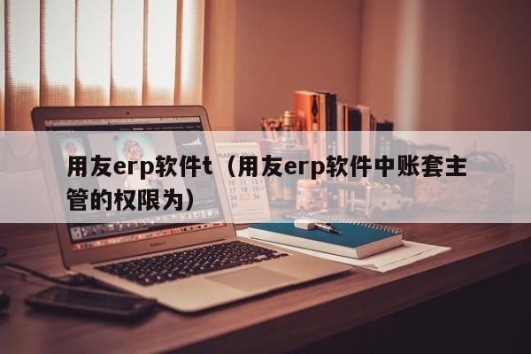 用友erp软件t（用友erp软件中账套主管的权限为）