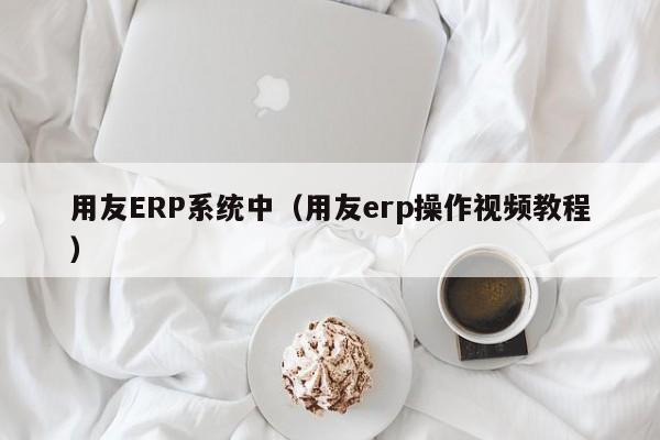 用友ERP系统中（用友erp操作视频教程）