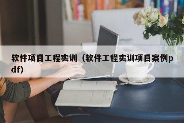 软件项目工程实训（软件工程实训项目案例pdf）