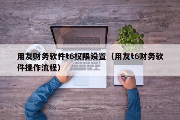 用友财务软件t6权限设置（用友t6财务软件操作流程）