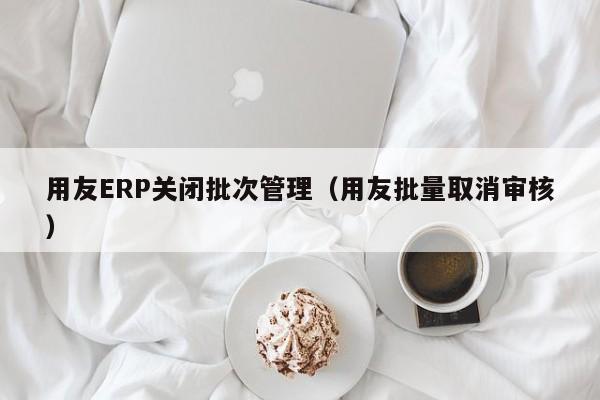 用友ERP关闭批次管理（用友批量取消审核）