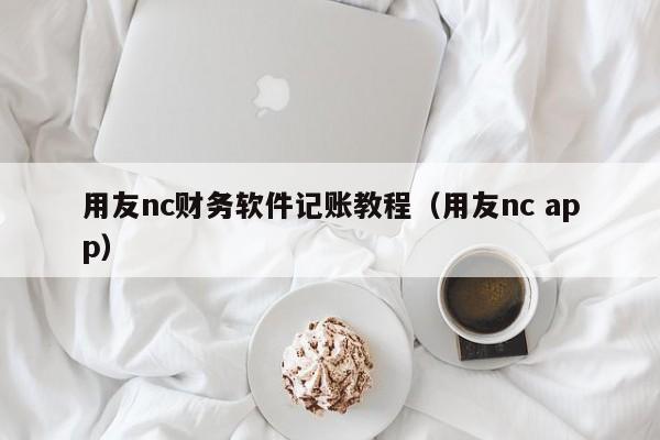 用友nc财务软件记账教程（用友nc app）