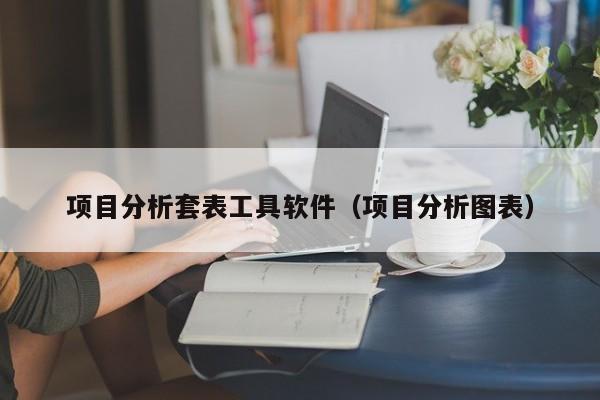 项目分析套表工具软件（项目分析图表）