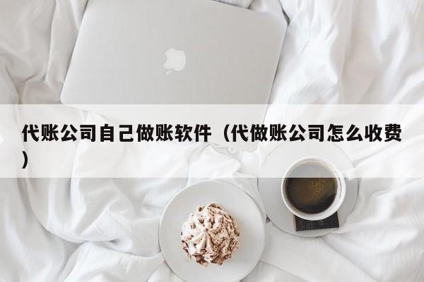 代账公司自己做账软件（代做账公司怎么收费）