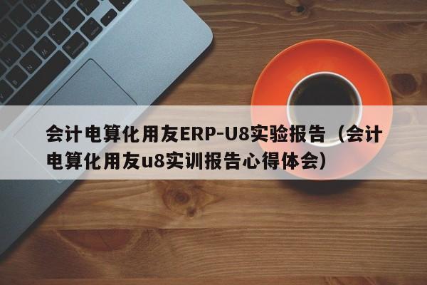 会计电算化用友ERP-U8实验报告（会计电算化用友u8实训报告心得体会）