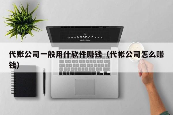 代账公司一般用什软件赚钱（代帐公司怎么赚钱）