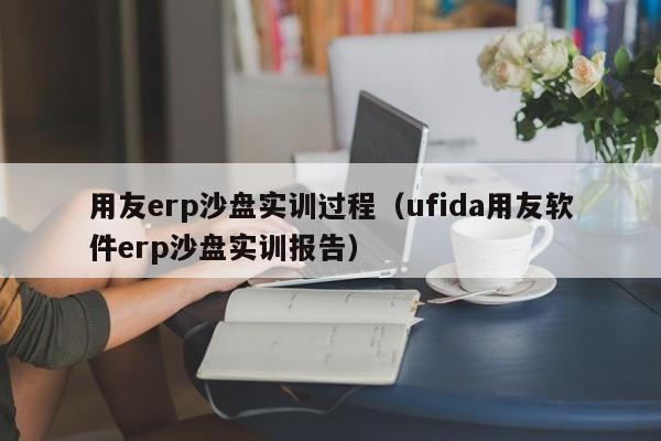 用友erp沙盘实训过程（ufida用友软件erp沙盘实训报告）