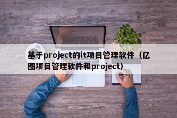 基于project的it项目管理软件（亿图项目管理软件和project）