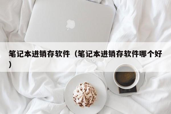 笔记本进销存软件（笔记本进销存软件哪个好）