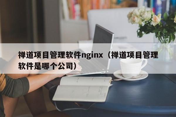 禅道项目管理软件nginx（禅道项目管理软件是哪个公司）