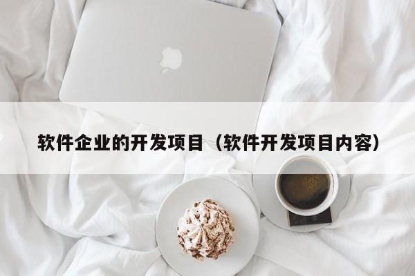 软件企业的开发项目（软件开发项目内容）