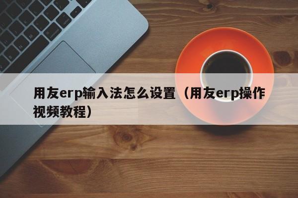 用友erp输入法怎么设置（用友erp操作视频教程）