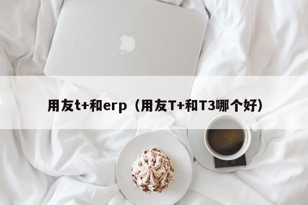 用友t+和erp（用友T+和T3哪个好）