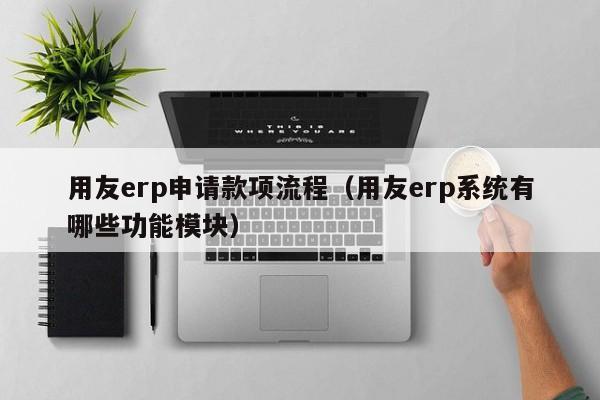 用友erp申请款项流程（用友erp系统有哪些功能模块）