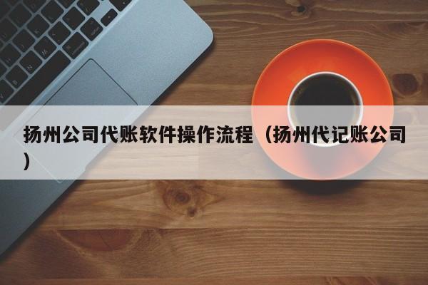 扬州公司代账软件操作流程（扬州代记账公司）