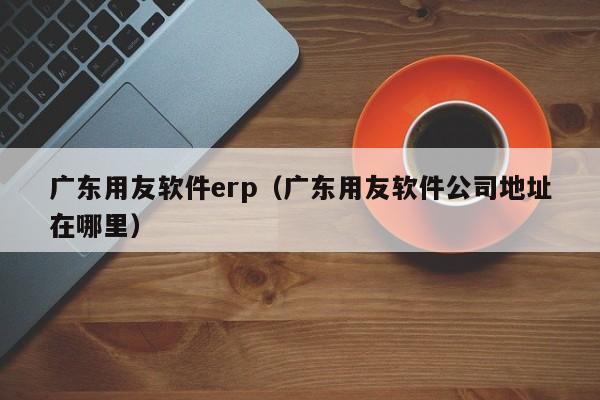 广东用友软件erp（广东用友软件公司地址在哪里）