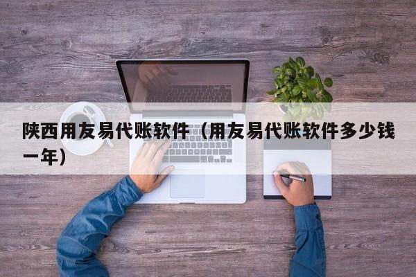 陕西用友易代账软件（用友易代账软件多少钱一年）