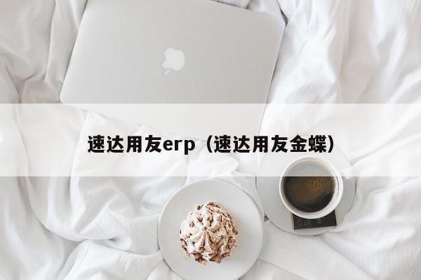 速达用友erp（速达用友金蝶）