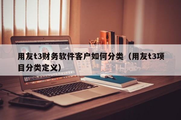 用友t3财务软件客户如何分类（用友t3项目分类定义）