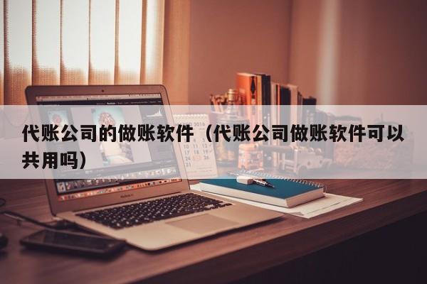 代账公司的做账软件（代账公司做账软件可以共用吗）