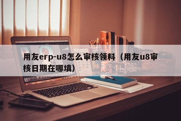 用友erp-u8怎么审核领料（用友u8审核日期在哪填）