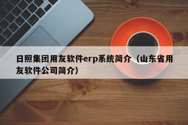 日照集团用友软件erp系统简介（山东省用友软件公司简介）