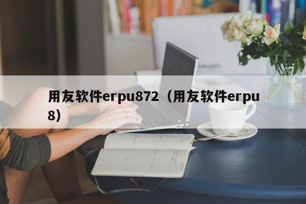 用友软件erpu872（用友软件erpu8）