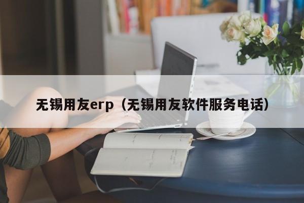 无锡用友erp（无锡用友软件服务电话）