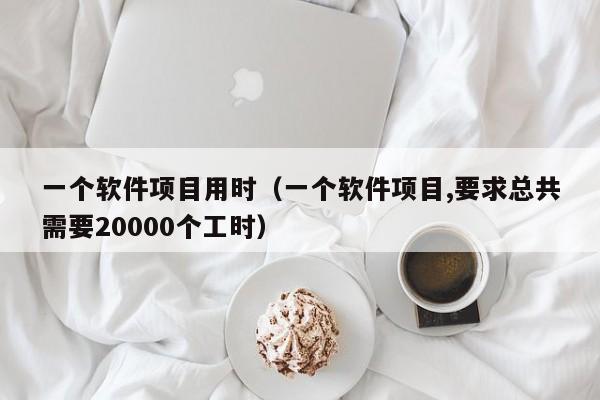 一个软件项目用时（一个软件项目,要求总共需要20000个工时）