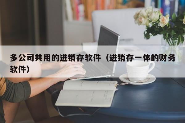 多公司共用的进销存软件（进销存一体的财务软件）