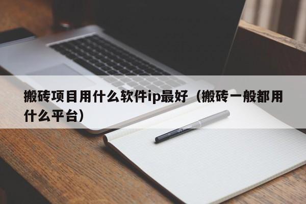 搬砖项目用什么软件ip最好（搬砖一般都用什么平台）