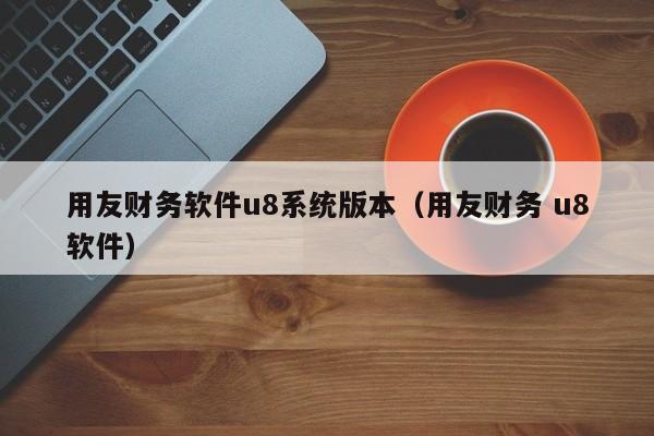 用友财务软件u8系统版本（用友财务 u8软件）