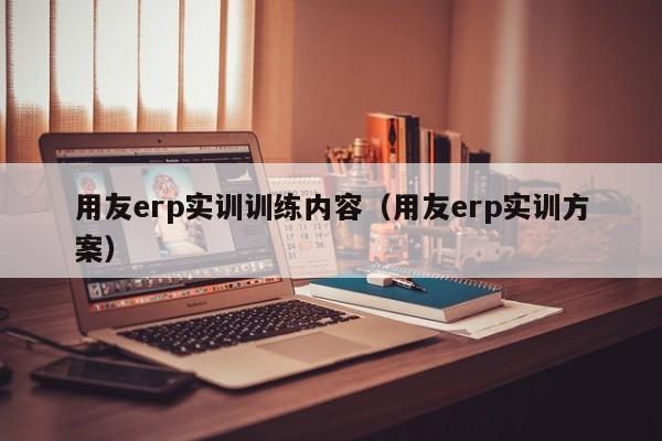 用友erp实训训练内容（用友erp实训方案）