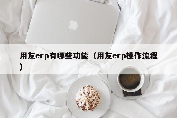 用友erp有哪些功能（用友erp操作流程）