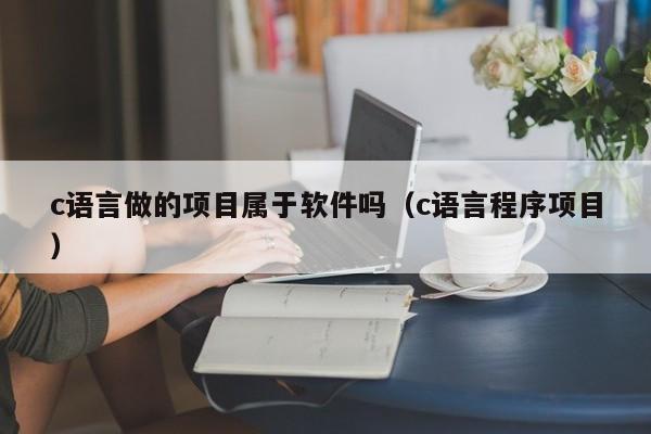 c语言做的项目属于软件吗（c语言程序项目）