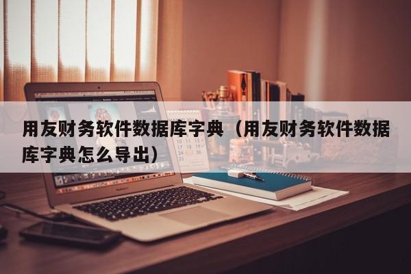 用友财务软件数据库字典（用友财务软件数据库字典怎么导出）