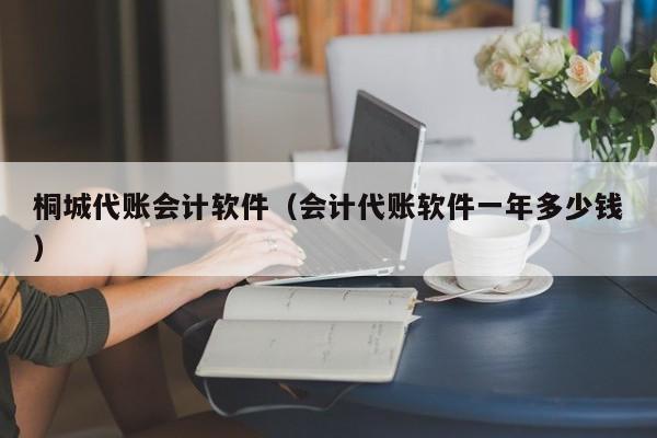 桐城代账会计软件（会计代账软件一年多少钱）