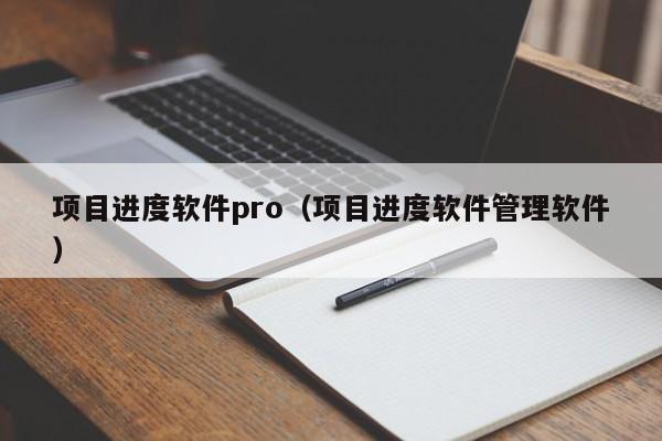 项目进度软件pro（项目进度软件管理软件）