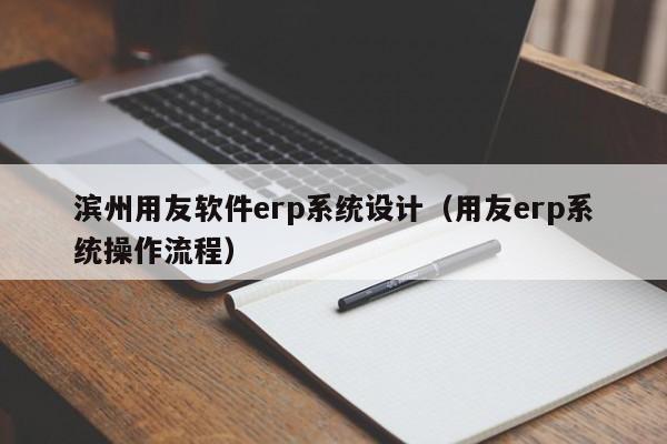 滨州用友软件erp系统设计（用友erp系统操作流程）