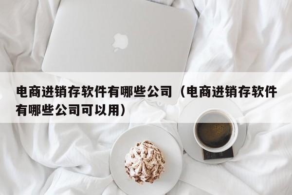 电商进销存软件有哪些公司（电商进销存软件有哪些公司可以用）