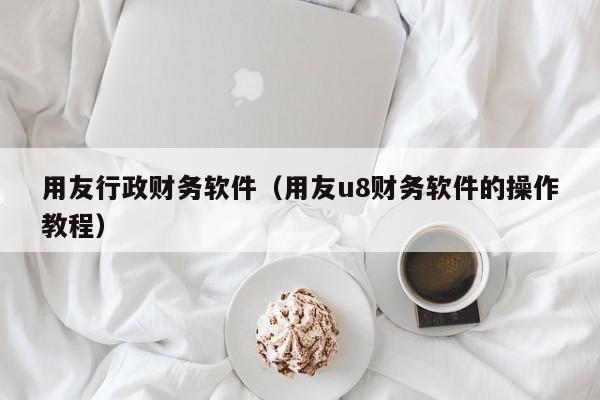 用友行政财务软件（用友u8财务软件的操作教程）