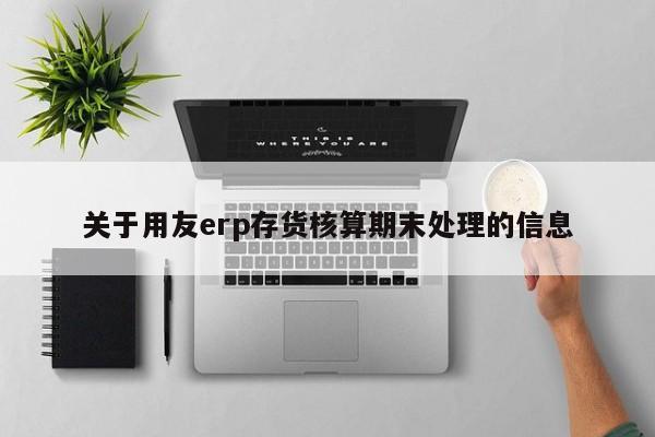 关于用友erp存货核算期末处理的信息