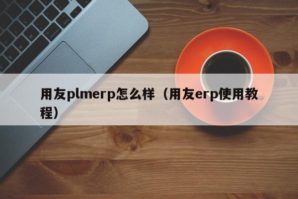 用友plmerp怎么样（用友erp使用教程）